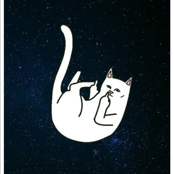 Meet your Posher, Daniel - Picture 1 of 1